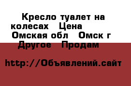 Кресло-туалет на колесах › Цена ­ 3 000 - Омская обл., Омск г. Другое » Продам   